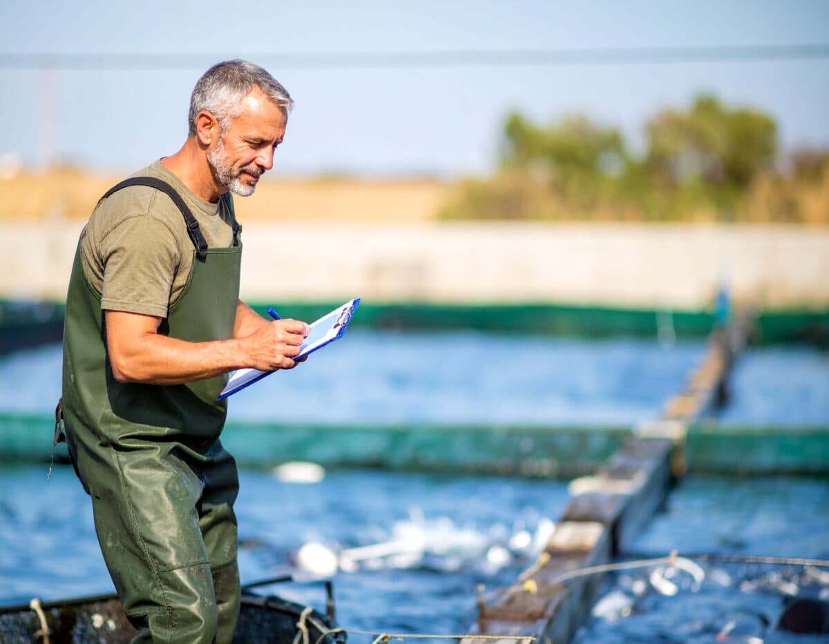 Brasil supera média mundial em produtividade e mira liderança na piscicultura até 2040