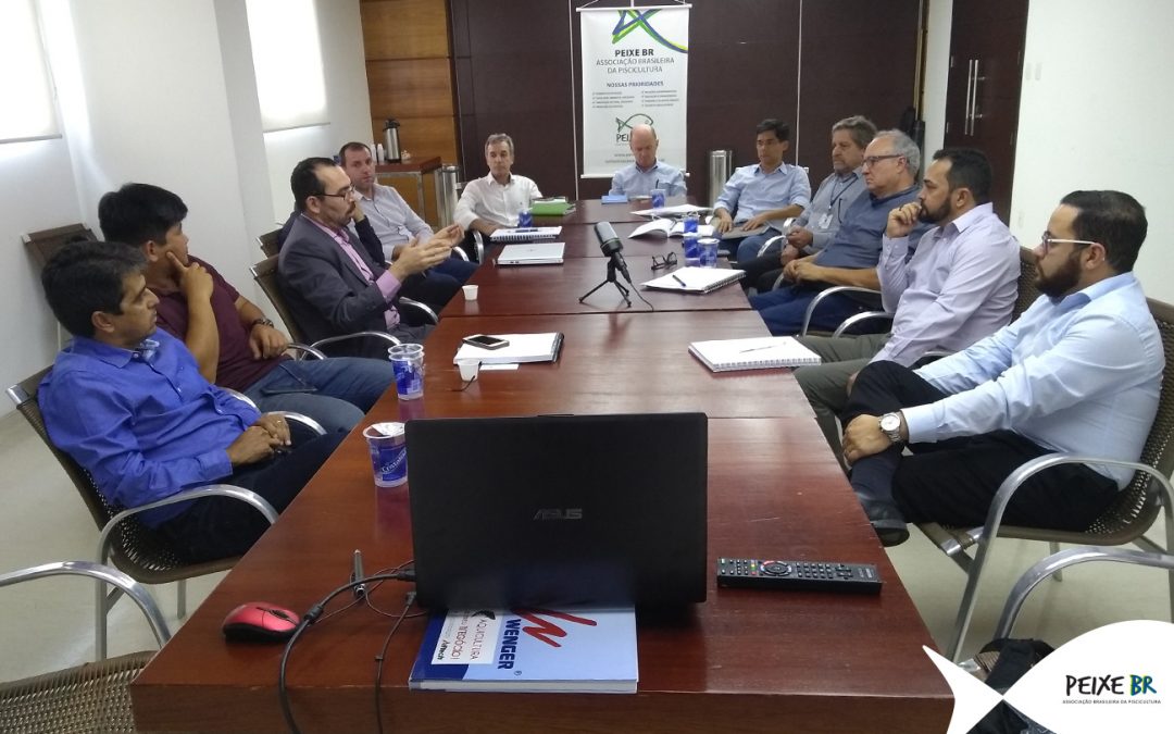 Exportação de pescado e Nova SEAP são temas de reunião da PEIXE BR