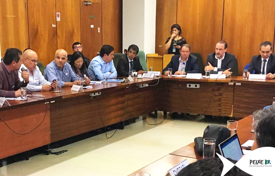 Peixe BR e associados participam de reunião no MAPA