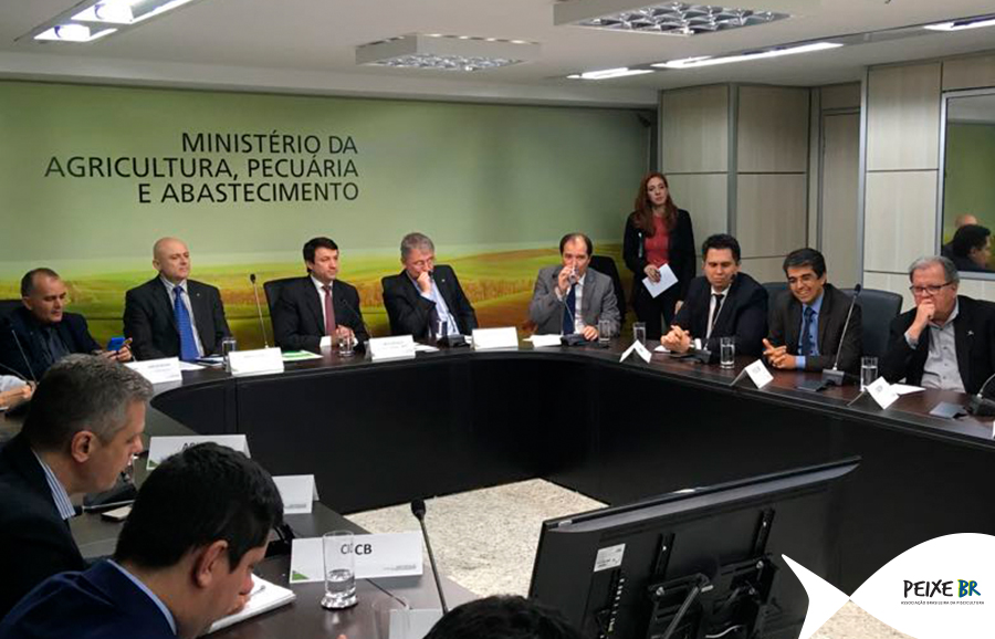 Peixe BR participa de reunião de avaliação do Plano Agro+ no MAPA