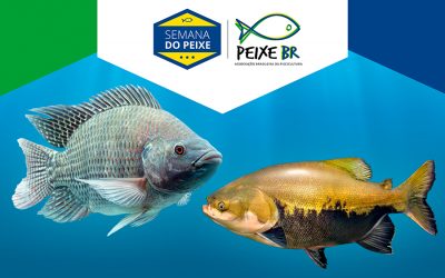 PEIXE BR lança campanha para aumento do consumo de peixes de cultivo no país