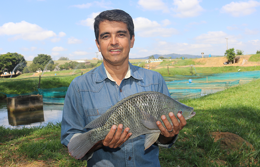 Segurança jurídica e Competitividade