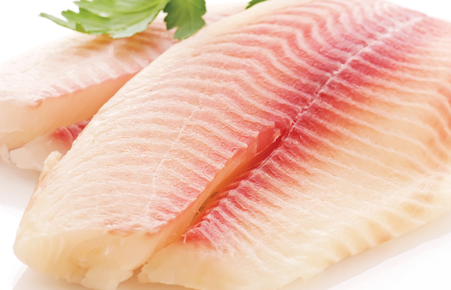 Peixe BR solicita ao MAPA habilitação dos frigoríficos de peixes de cultivo para exportação para Israel