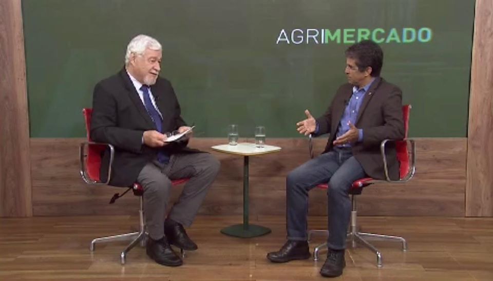 Retrospectiva da piscicultura no Brasil em 2019