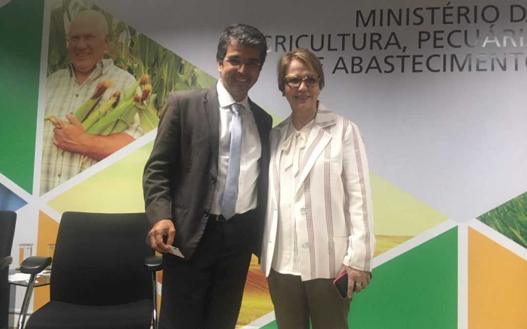 Peixe BR leva demandas urgentes da piscicultura à ministra Tereza Cristina