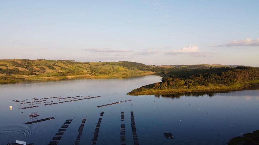 Peixe BR, Innovation Norway e FIESP promovem IV Encontro Noruega-Brasil de Aquicultura para troca de tecnologias entre os dois países