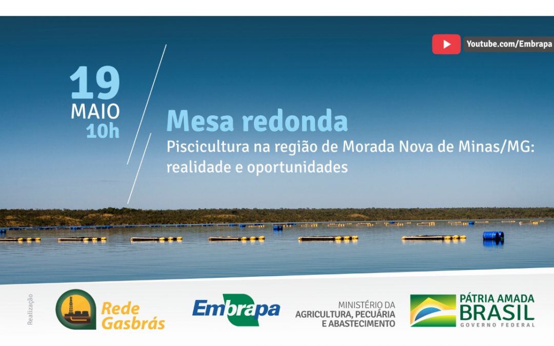 Peixe BR participa de live sobre piscicultura em Morada Nova (MG)