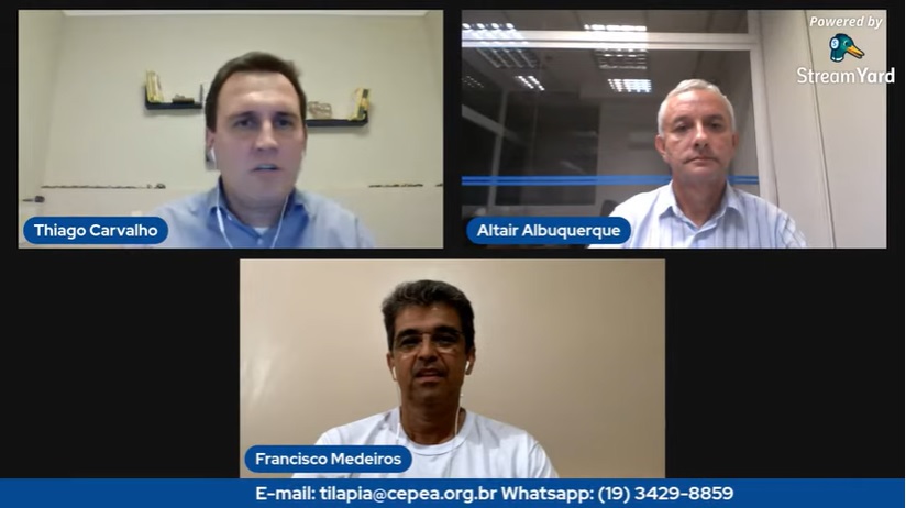 Peixe BR cria Indicador de Preços da Tilápia como referencial de mercado